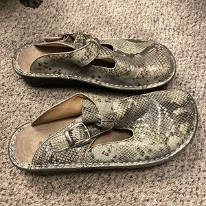 Algeria women’s clog